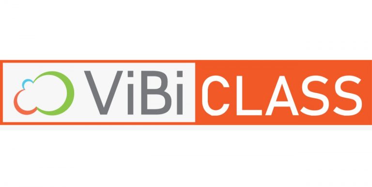VIBI Class